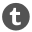 Tumblr icon